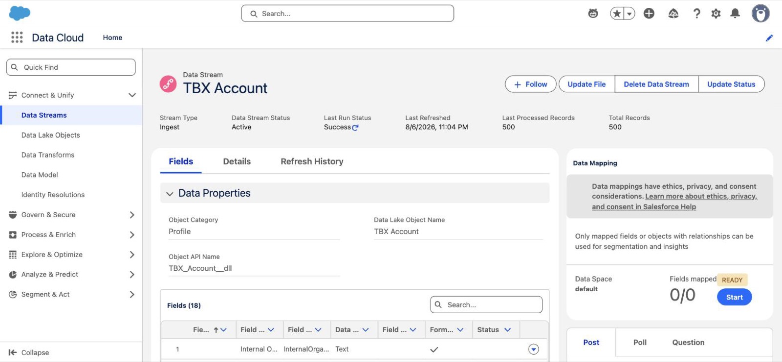 A data stream record page showing Last Run Status Success with 500 of 500 records processed